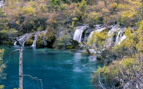 高效高性能
